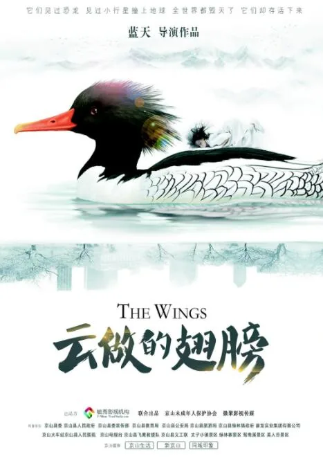 云做的翅膀免费观看