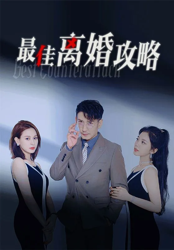最佳离婚攻略分集介绍