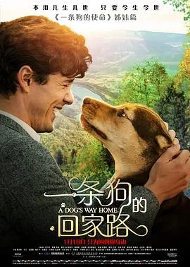 一条狗的回家路中文版