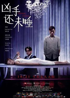 凶手还未睡是谁绑架了女主人