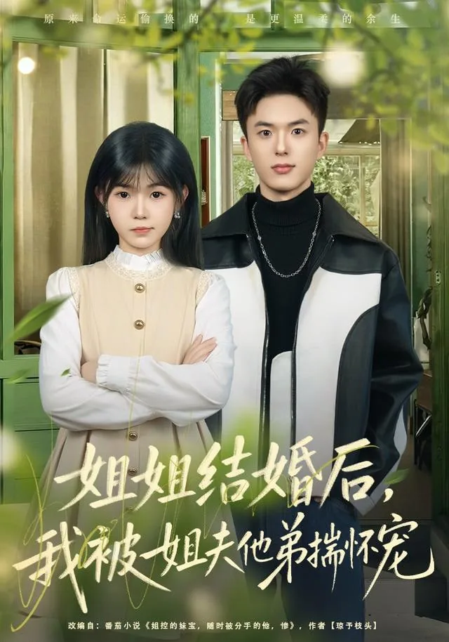 姐姐结婚后,我被姐夫他弟揣怀宠啊小说