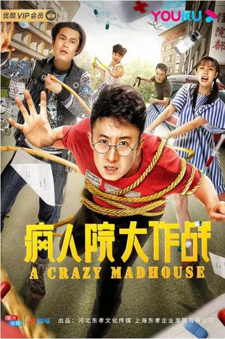 疯人院大作战电影免费版