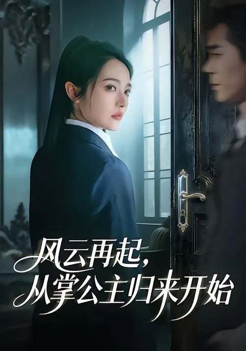 风云再起,从掌公主归来开始的小说