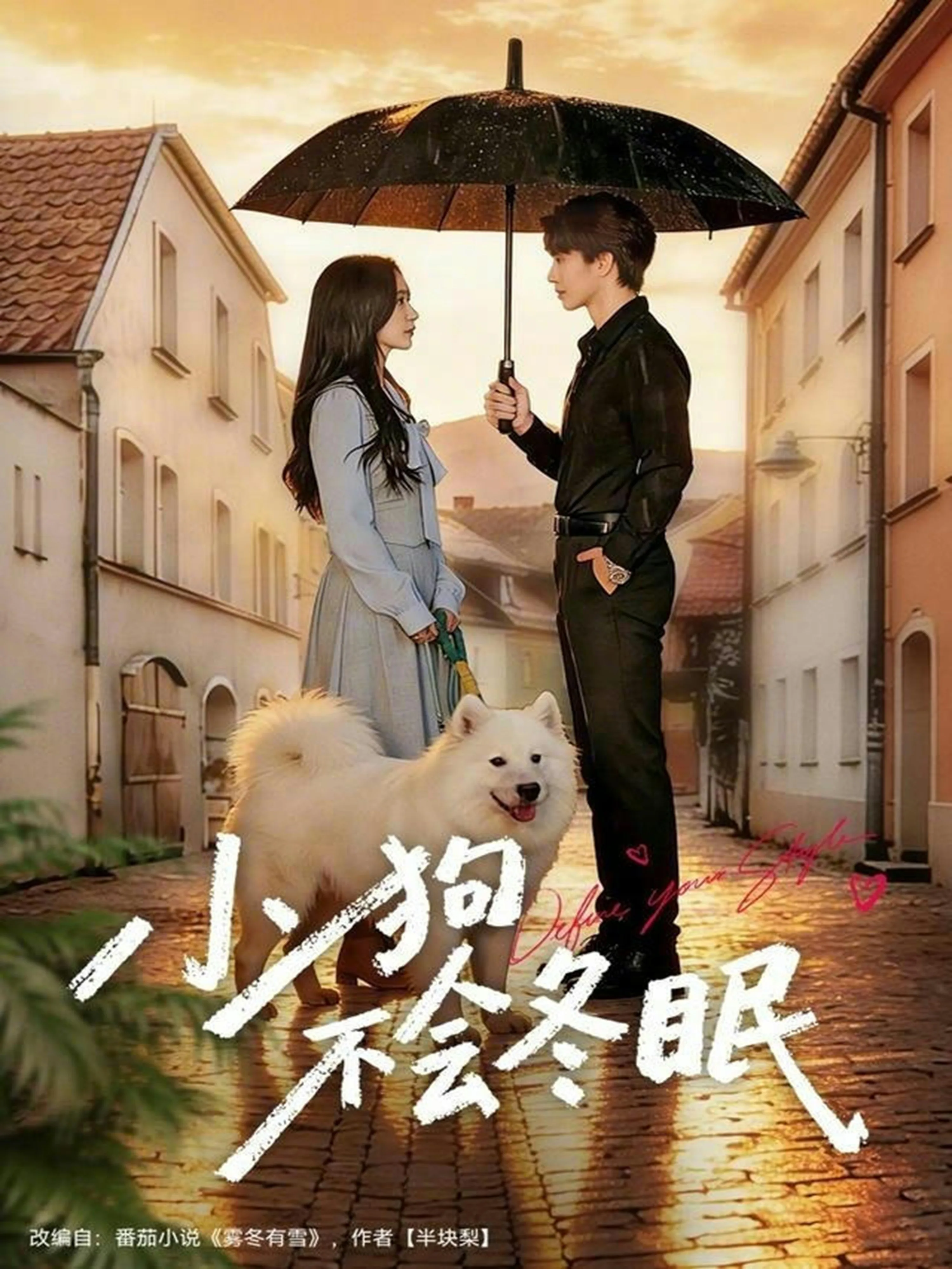 小狗不会冬眠如何治疗