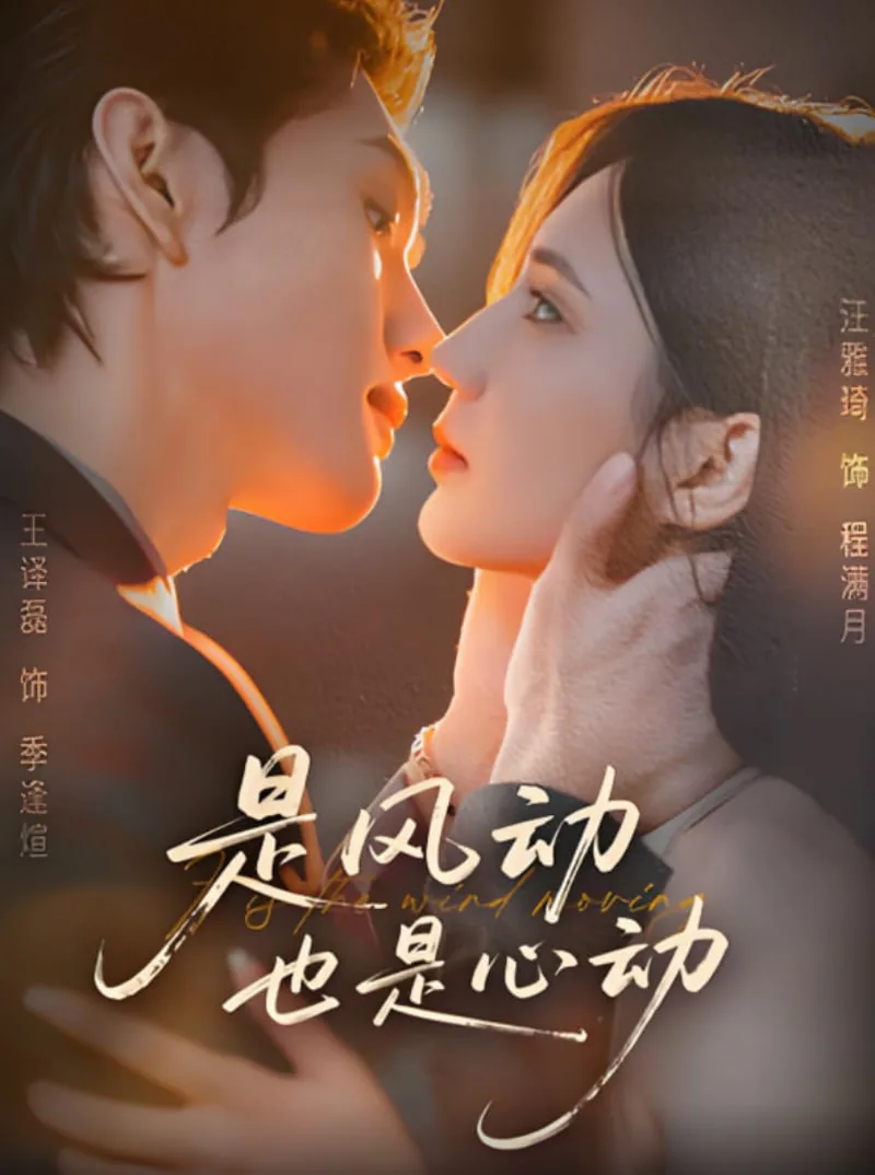 是风动也是心动by无声全文免费阅读笔