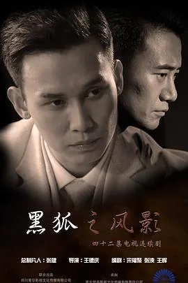 黑狐之风影演员全部名单