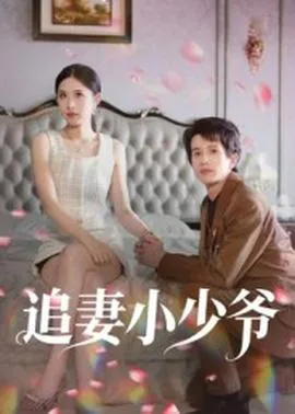 追妻的少帅小说