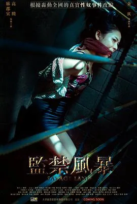 监禁风暴李牧喜欢小青?