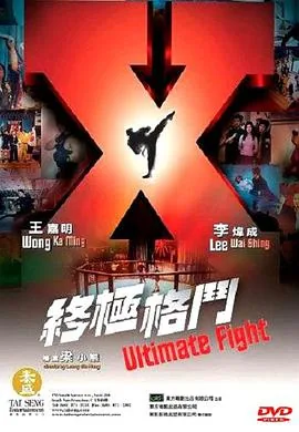 终极格斗士4国语版