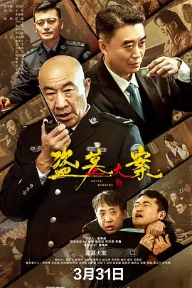 盗墓大案 追捕行动多少集