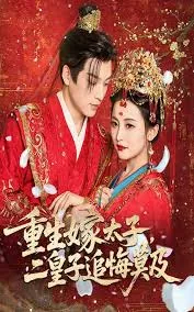 重生嫁给太子成为太子妃