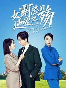 女霸总的逆袭之殇短剧