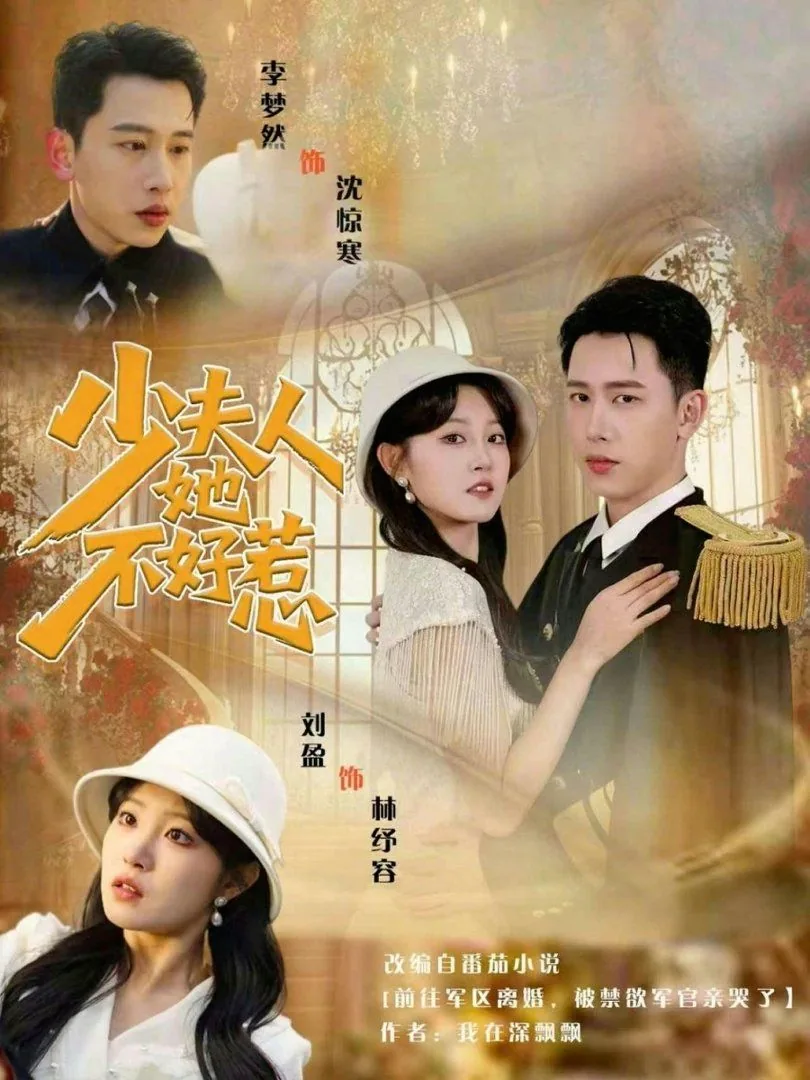 少夫人她不好惹类似小说