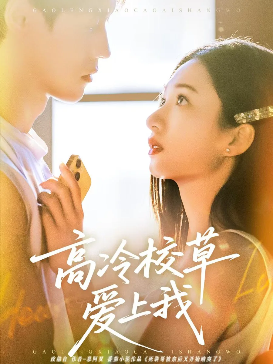 高冷校草爱上我短剧免费观看