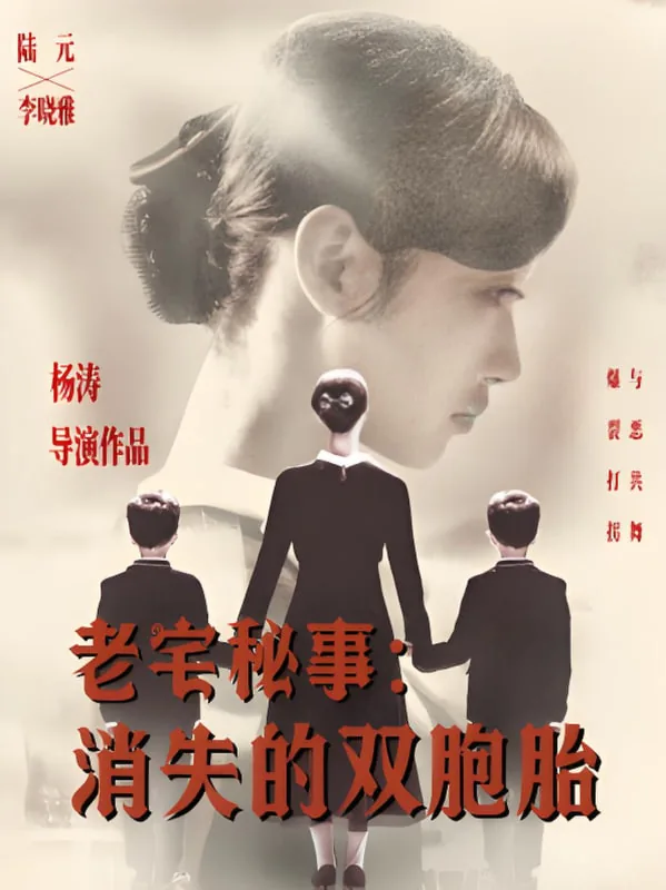 电影消失的双胞胎