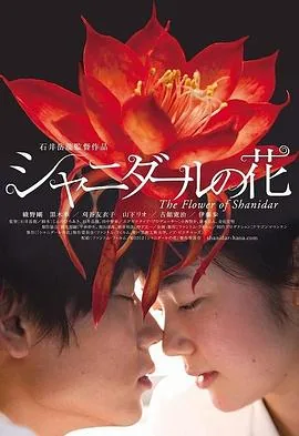 沙尼达尔之花在线