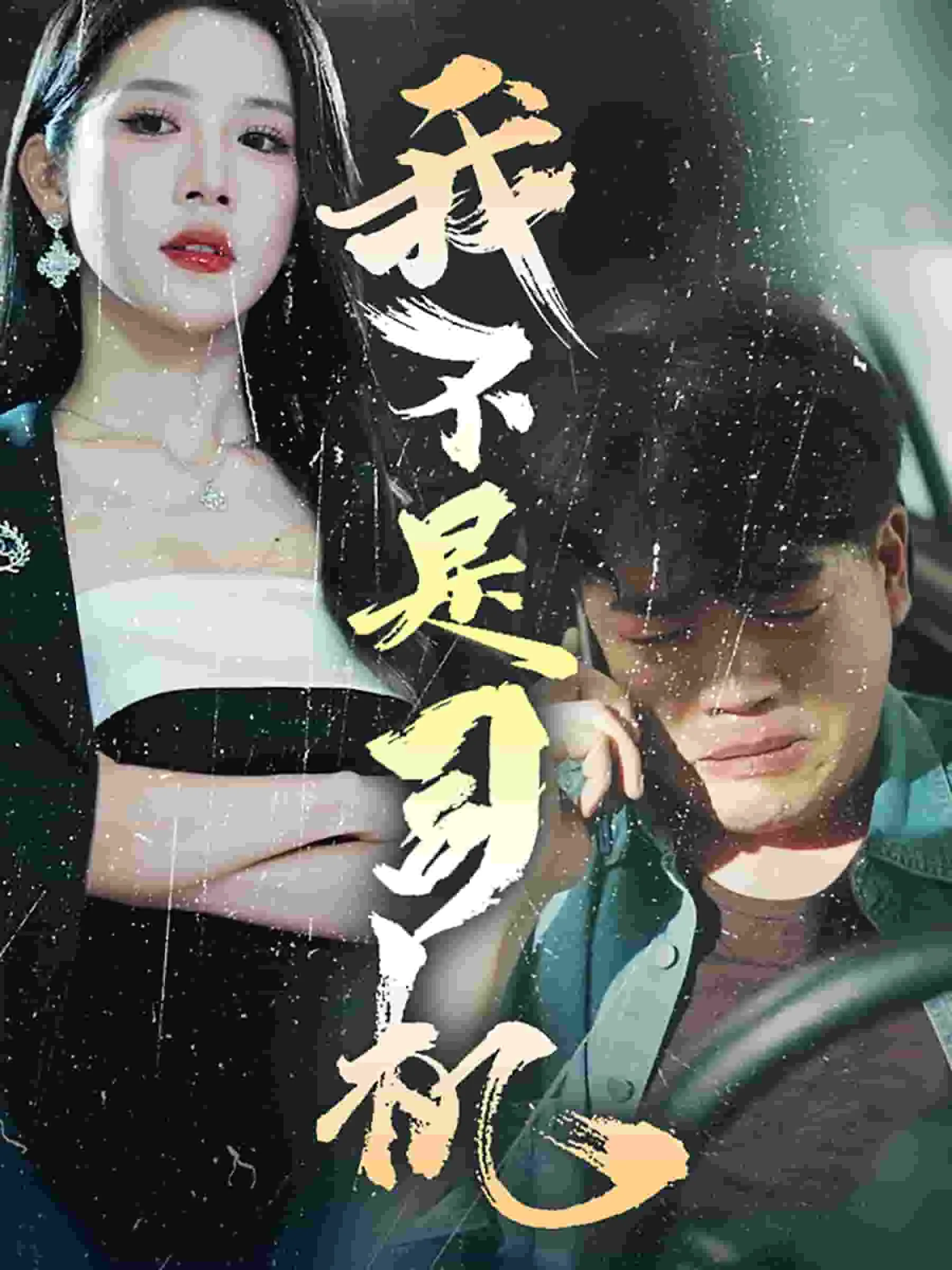 我不是司机第二季在线观看
