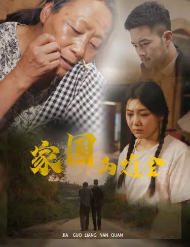 家国两难全免费全集
