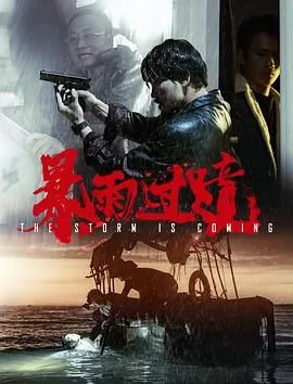 暴雨过境电影