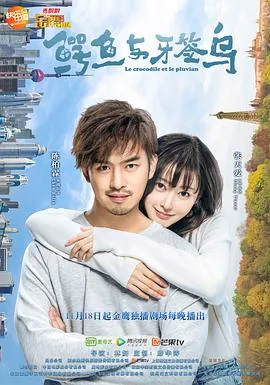 鳄鱼与牙签鸟电视剧在线观看