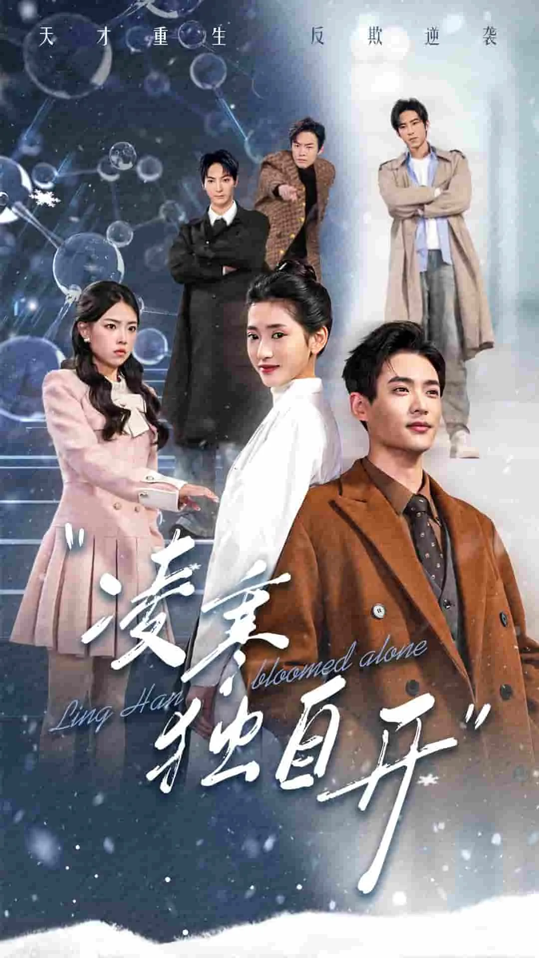 凌寒独自开表现了梅花什么品格