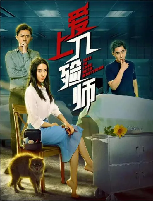 爱上入殓师电影在线观看