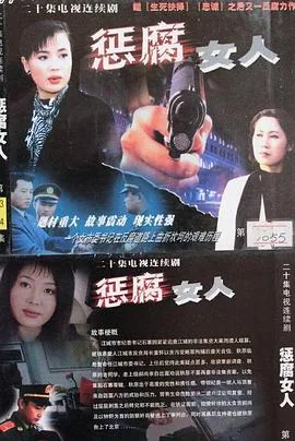 惩腐女人电视剧主要演员