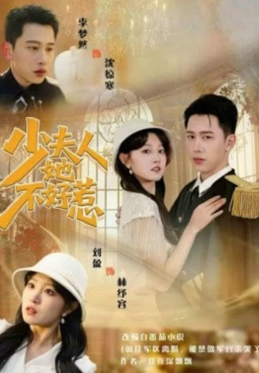 少夫人她来自东北短剧免费观看
