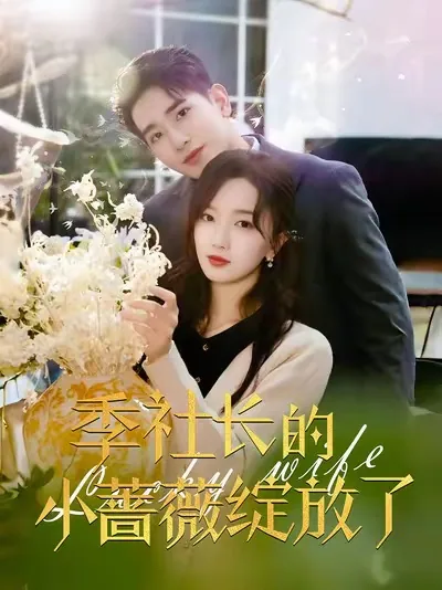 季社长的小蔷薇绽放了短剧