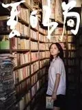 夏日书局讲的是什么故事