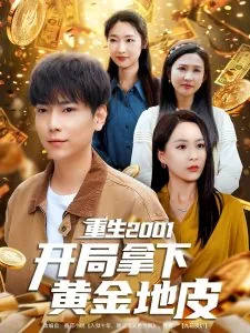 重生2001开局拿下黄金地皮短剧在线观看