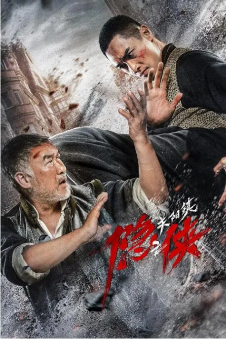 隐侠之关阳镇电影