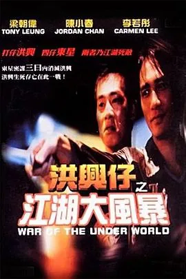 洪兴仔之江湖大风暴洪飞结局