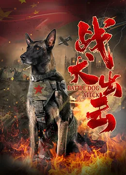 战犬出击电视剧是哪里拍的
