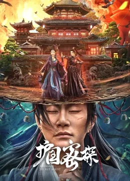 护国密探讲的什么时期