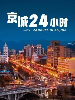 京城24小时朝阳警事纪录片在哪