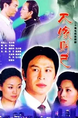 不嫁则已全集解说完整版