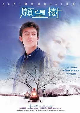愿望树女主角