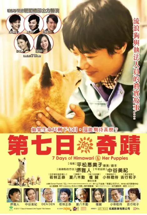向日葵与幼犬的七天最后怎么样了