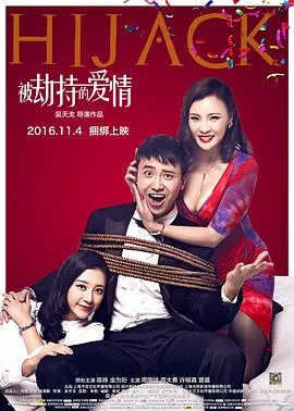 被劫持的爱情剧情介绍