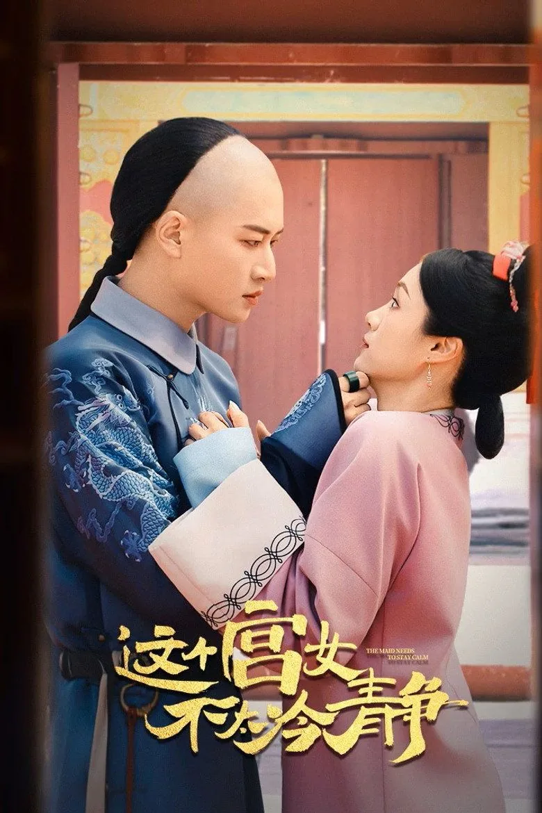 这个宫女不太冷静一共多少集