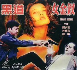 黑道女金钗刘少君主演的电影