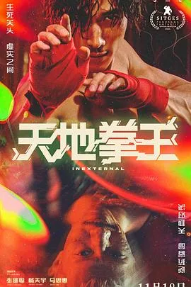 天地拳王在线免费观看