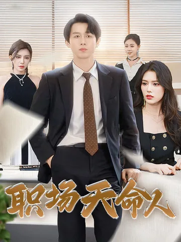 职场天命人林总许磊片段