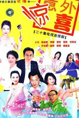 将装修进行到底若男