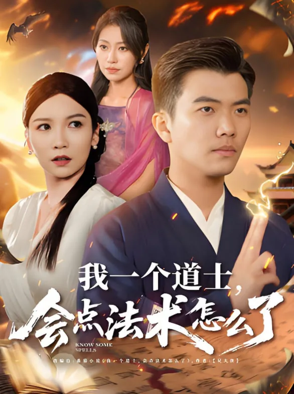 我一个道士会点法术怎么了txt下载