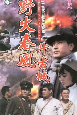 野火春风斗古城全剧视频