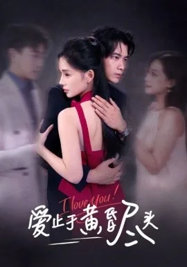 爱止于终老什么意思
