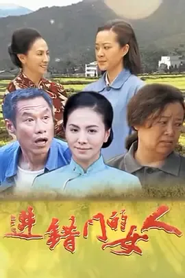 进错门的女人电视剧赵圆圆