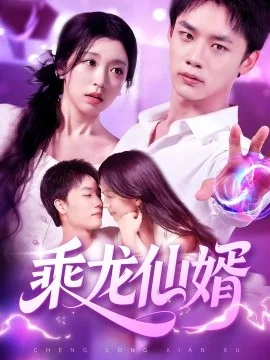 乘龙仙婿里的门派
